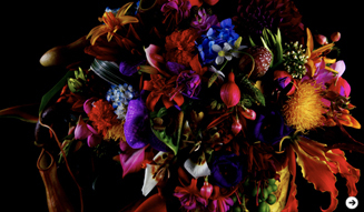 ラフォーレ サウンド ミュージアム 2011 1