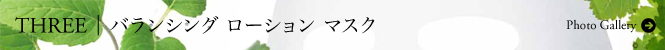 フォトギャラリーへ