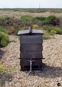 デレク・ジャーマンの庭 01