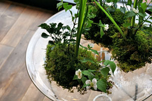 温室|ゆく春の読書室 02