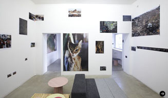 カリモク|ミラノサローネ2011 03