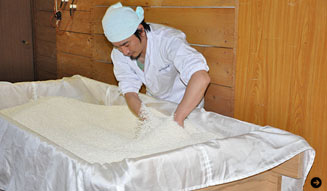 土佐しらぎく|和醸和楽 03