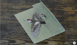 MUJI新宿|どうぶつ帖展 02