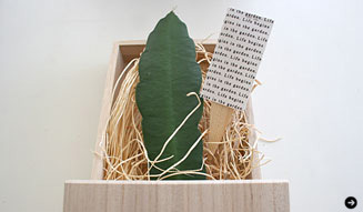 Lewis YOKO｜テーブルガーデン 03