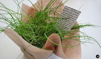 Lewis YOKO｜テーブルガーデン 07