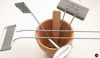 Lewis YOKO｜テーブルガーデン 12