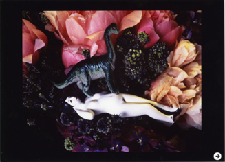 荒木経惟展「彼岸」02