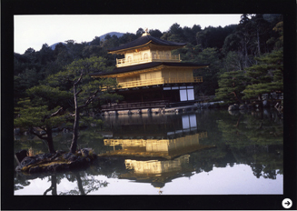 荒木経惟展「彼岸」03