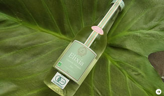 SAKURA|グリーン・ビューティ 05