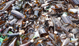 和醸和楽|大沼酒造 02