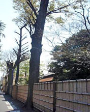 和醸和楽|味ノマチダヤ 02