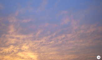 生方ななえ｜連載第15回 05