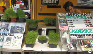 Munemi｜Rajaa Chbani 03