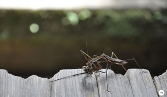 温室｜九州の旅 04