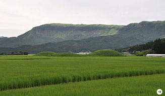 温室｜九州の旅 07