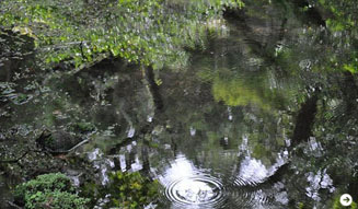 温室｜九州の旅 09