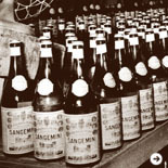 Sangemini｜サンジェミニ Chapter 1