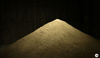 ヨコハマトリエンナーレ|日本郵船海岸通倉庫 03