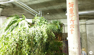 ヨコハマトリエンナーレ|日本郵船海岸通倉庫 04