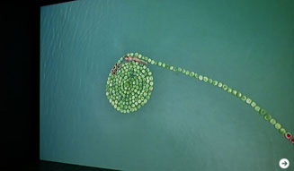 ヨコハマトリエンナーレ|日本郵船海岸通倉庫 07