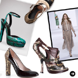 Chapter 03：Exotic Leather