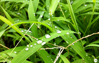 生方ななえ|連載第16回 02