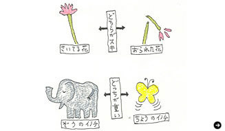 ELTTOB TEP ISSEY MIYAKE|黒田征太郎 02