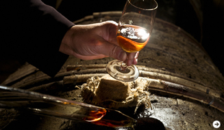 Louis XIII｜ルイ13世　03