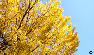 生方ななえ｜連載第17回 03