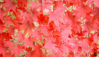 生方ななえ｜連載第17回 05