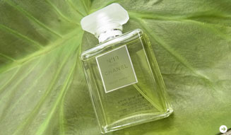 SAKURA｜2011ギフト 04