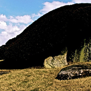 クラブキング,桑原茂一,Diary-T,3