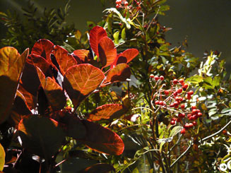 伊勢丹｜メンズレジデンス 06