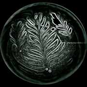 クラブキング,桑原茂一,Diary-T,5