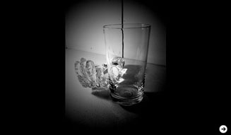 さる山|辻野剛 02