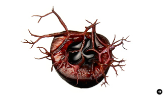 THREE|フードアーティスト 諏訪綾子さんが語る、五感に響く植物の力 11