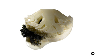 THREE|フードアーティスト 諏訪綾子さんが語る、五感に響く植物の力 12