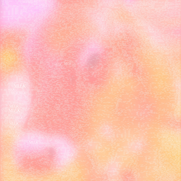Diary-T 155 02