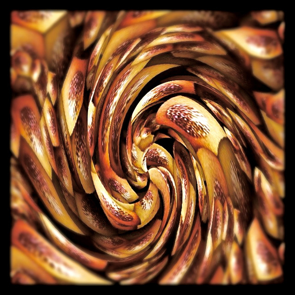 Diary-T 157 「噛む」 01