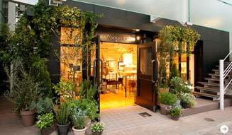 テネリータ・メゾン|広尾 03