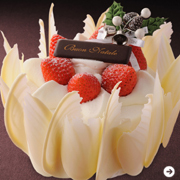 GRAND HYATT TOKYO|グランド ハイアット 東京