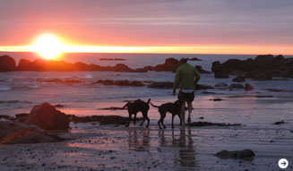 グリフィン|2012春夏 06