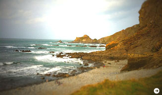 グリフィン|2012春夏 12