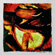 クラブキング,桑原茂一,Diary-T,3