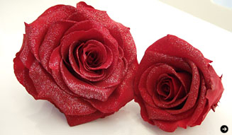 伊勢丹｜イセタンメンズ レジデンス 04