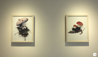 ホンマタカシ|その森の子供 04