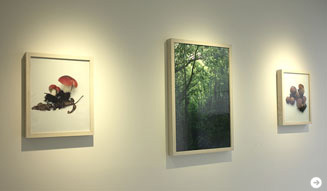 ホンマタカシ|その森の子供 05