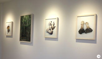 ホンマタカシ|その森の子供 06