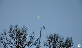 温室｜塚田有一 06