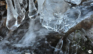 温室｜塚田有一 08